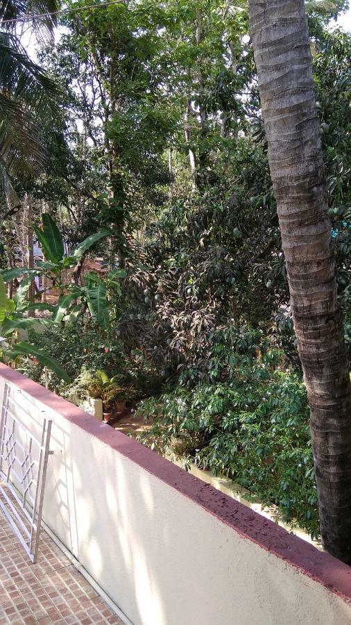 Palolem Apartments 外观 照片